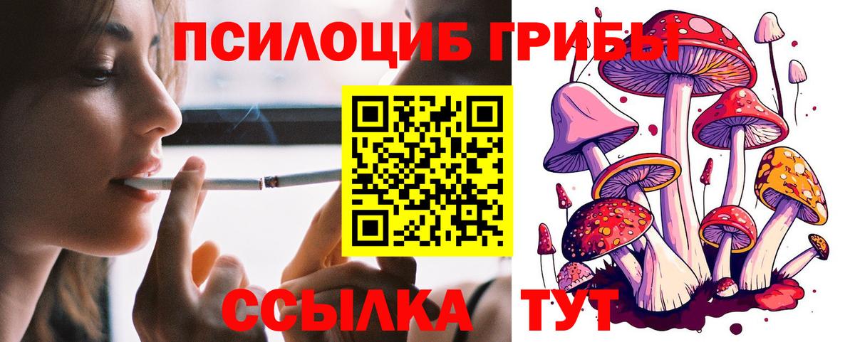 Галлюциногенные грибы прущие грибы Канск